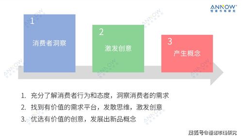产品研发早期创新研究指南 聚焦计算机软件开发